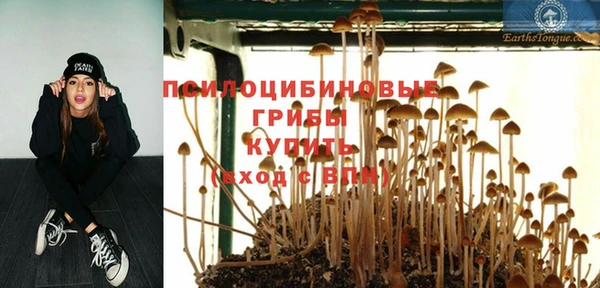 герыч Арсеньев